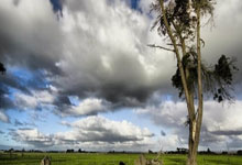 2024每一步都铿锵有力！2025继续携手前行！全运见！广州见！全运广州.