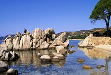 英媒深挖沃克夜店行女主角 来自塞尔维亚的模特(图).